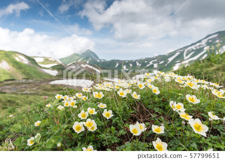 Raitorisawa Campsite（母親小坂路線）的一之越山徑 57799651