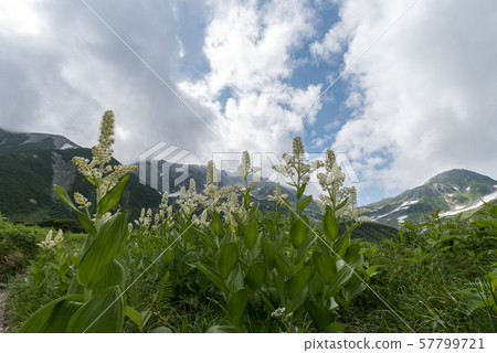 Mountain climbing 57799721