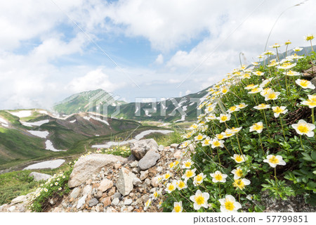 Ichinoshikoshi mountain trail from Raitorisawa Campsite (Mother Koizaka Route) 57799851