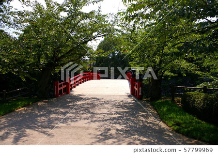 弘前城堡在夏天 弘前城堡在夏天 57799969