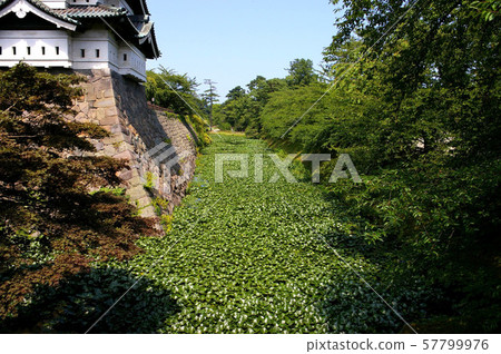 弘前城堡在夏天 57799976