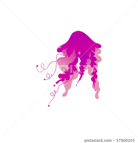 Purple pink jellyfish drawing isolated on white background 57800203