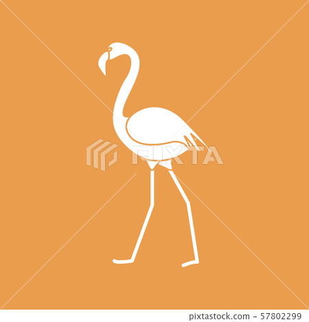 Exotic tropical bird flamingo 57802299