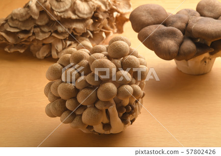 Three kinds of mushrooms Shimeji Maiko Marbled Hiraiso Three kinds of mushrooms Shimeji Maiko Marbled Hiraiso 57802426