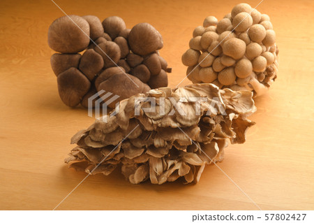 Three kinds of mushrooms Shimeji Maiko Marbled Hiraiso Three kinds of mushrooms Shimeji Maiko Marbled Hiraiso 57802427