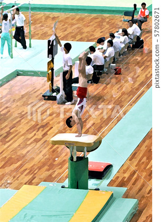 Gymnastics competition jumping horse 57802671