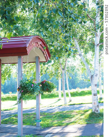 Landscape of hokkaido Landscape of hokkaido 57802892