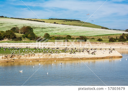 Walk along Cuckmere river, Sussex 57803679