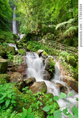 Yoro no Waterfall Yoro no Waterfall 57803884