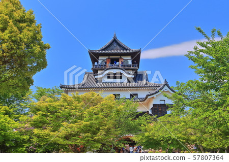 [愛知縣]新鮮的綠色犬山城城堡塔樓 57807364