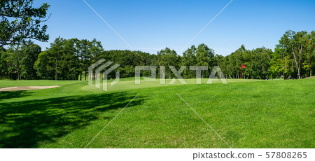 Golf course Golf course Putting green 57808265