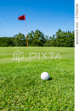 Golf course putting green pin flag 57808266