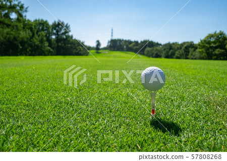 Golf course Golf course Teeing area Golf course Golf course Teeing area 57808268