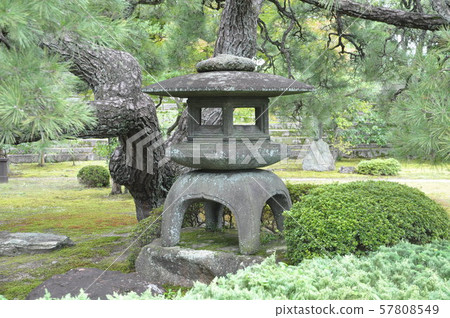 Stone lanterns and trees in Nijo Castle Honmaru Garden 57808549