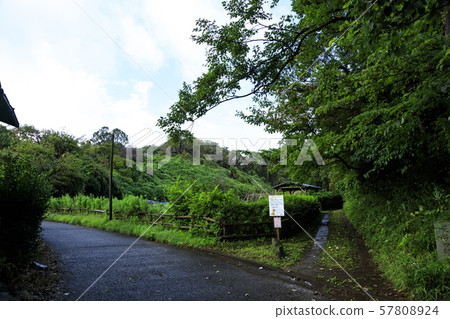 Maioka (Autumn) Maioka (Autumn) 57808924