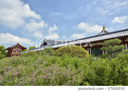 [奈良縣] Yakushiji寺，Genso Sanzoin寺（Genen塔） 57809191
