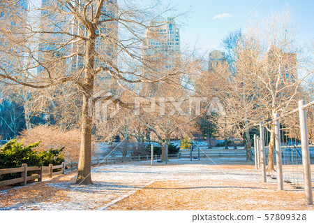 Beautiful Central Park in New York City 57809328