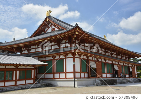 [Nara Prefecture] Yakushi-ji, Shirahige Ai (Large Auditorium) 57809496