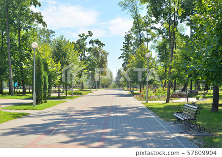 Alley in park at sunny summer day in Stolin, Belarus. 57809904