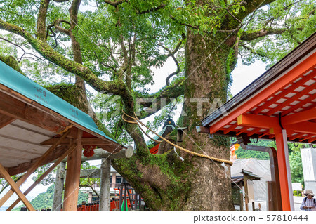 岡見神社熊野那智大社 57810444