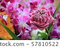 Lotus orchid flower 57810522