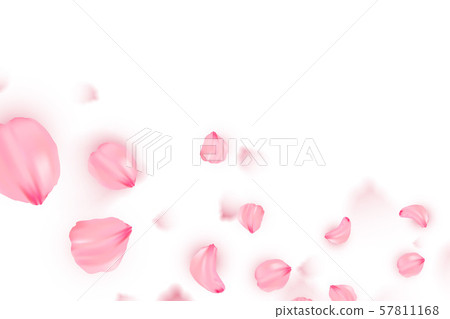 Banner With Sakura On White Background Stock Illustration