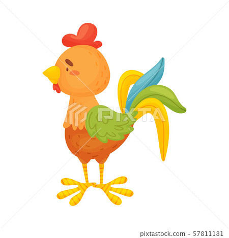 Rooster is standing. Side view. Vector illustration on a white background. Rooster is standing. Side view. Vector illustration on a white background. 57811181