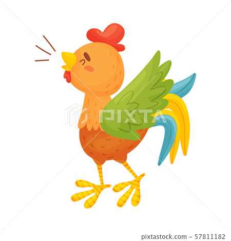 Brown rooster crowes. Side view. Vector illustration on a white background. Brown rooster crowes. Side view. Vector illustration on a white background. 57811182