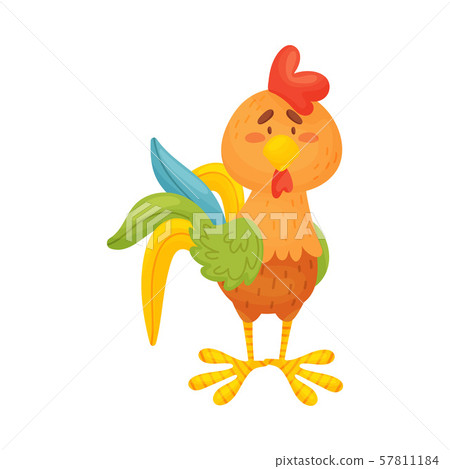 Brown rooster is standing. Vector illustration on a white background. 57811184