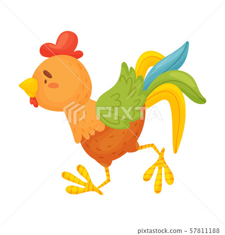 Brown rooster is running. Vector illustration on a white background. 57811188