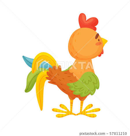 Cartoon brown rooster stands. Vector illustration on a white background. Cartoon brown rooster stands. Vector illustration on a white background. 57811210