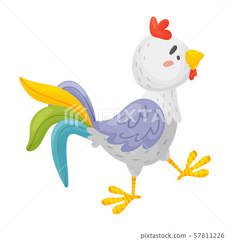 Gray cartoon rooster is coming. Vector illustration on a white background. Gray cartoon rooster is coming. Vector illustration on a white background. 57811226