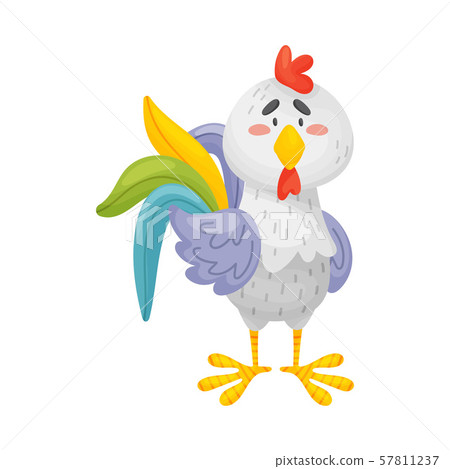 Gray rooster is standing. Front view. Vector illustration on a white background. 57811237