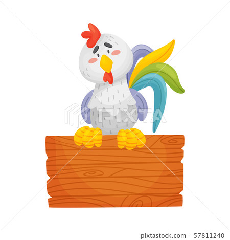 Gray rooster is sitting on a wooden plate. Vector illustration on a white background. Gray rooster is sitting on a wooden plate. Vector illustration on a white background. 57811240