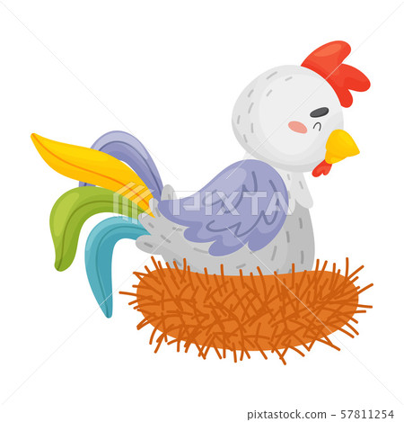 Gray rooster with a colorful tail in the nest. Vector illustration on a white background. 57811254