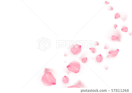 Banner with sakura on white background 57811268