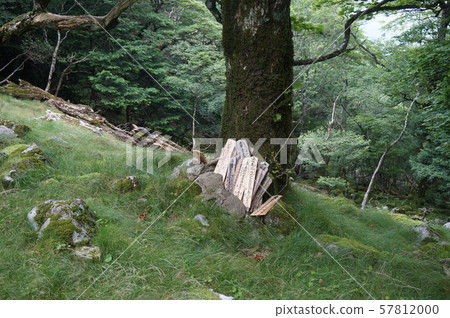 [紀伊山脈的世界遺產和參拜路線] 奈良縣吉野郡天川村大峰山第75、60日兒童之夜大峰奧隈堂 57812000