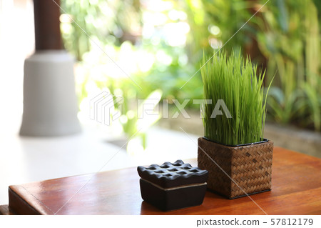 Rice seedlings placed on the table 57812179