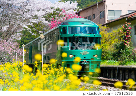 Sakura Spring Yufuin no Mori Bungonakagawa Station 57812536