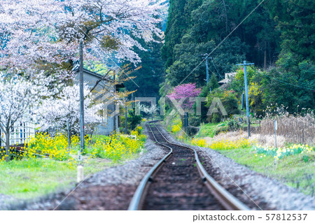 櫻花春潤無人站文中川站 57812537