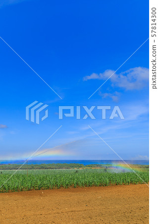 Sugar cane field sprinkler Sugar cane field sprinkler 57814300