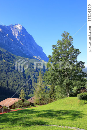 Landscape of Grindelwald, Switzerland Landscape of Grindelwald, Switzerland 57814399