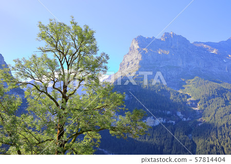 Landscape of Grindelwald, Switzerland 57814404