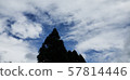Trees in the sky 57814446