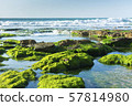 Green Seaweed on Black Rocks Sea Landscape. Fresh 57814980