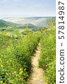 Rural Path among Green Hills and Blooming Wild 57814987