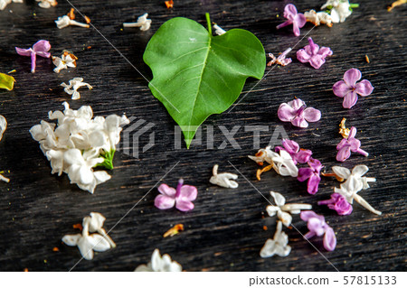 Fallen lilac flowers and leaf on the table 57815133