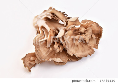 Mushroom (Maiko) Mushroom (Maiko) 57815339