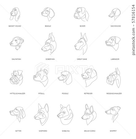 Breeds of dogs drawn in minimal style set. One line dogs. Vector illustration. 57816154