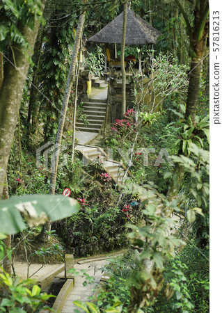 Garden in Goa Gajah 57816213